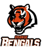 Orange Bengals Pop Warner